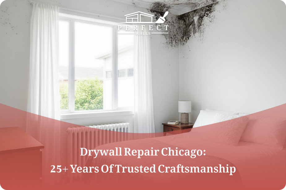 Black Mold on Drywall: How to Identify, Remove, and Prevent It