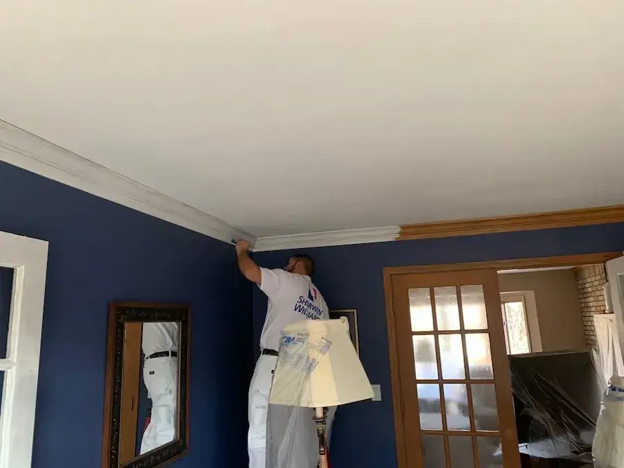 Pest Control